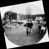 Clubul Sportiv Municipal Suceava - Rugby